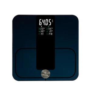 HEALBE Scale